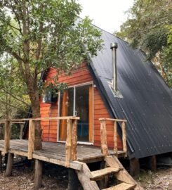 Cabaña Verde Canelo