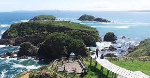 images (16)