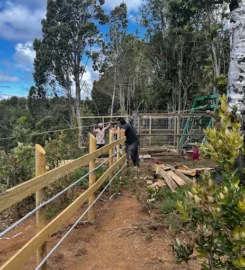 Parque Aventura y Conservación Chiloé