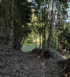 Parque Aventura y Conservación Chiloé