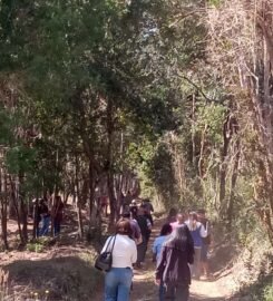 Parque Aventura y Conservación Chiloé