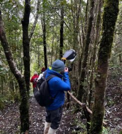 Agencia Chiloé Magic Travel