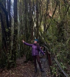 Agencia Chiloé Magic Travel