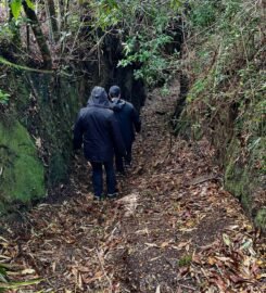 Agencia Chiloé Magic Travel