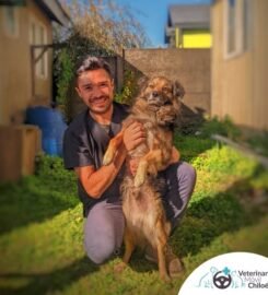 Veterinaria Móvil Chiloé