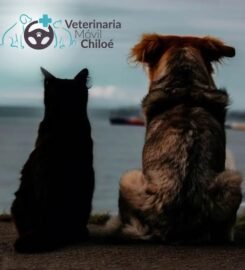 Veterinaria Móvil Chiloé