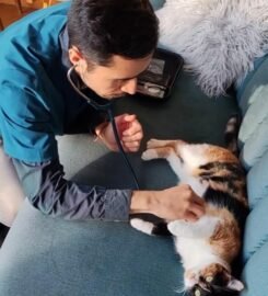 Veterinaria Móvil Chiloé