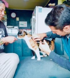 Veterinaria Móvil Chiloé