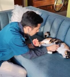 Veterinaria Móvil Chiloé